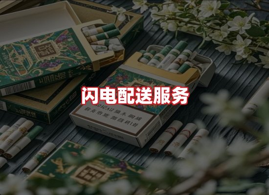专业团队
